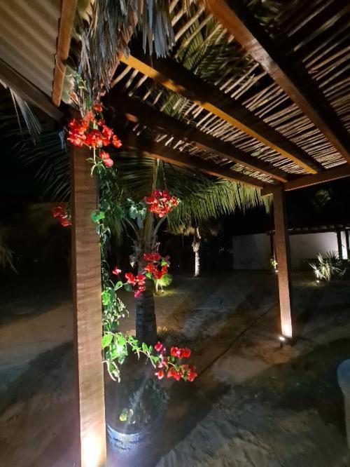 Pousada Calu Barra Grande  Ngoại thất bức ảnh